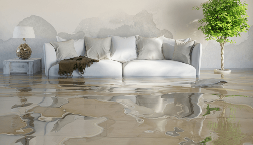 Flood Restoration